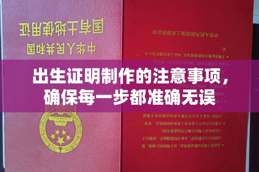 柳东出生证明制作的注意事项，确保每一步都准确无误